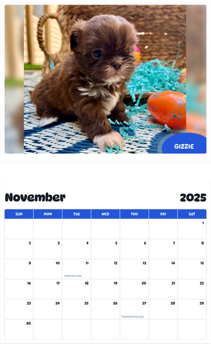 July 2025 - June 2026 Gizzie - Pawidols Pet Calendar