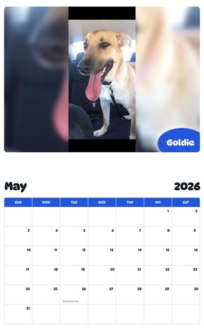 2026 - 2027 Goldie - Pawidols Pet Calendar