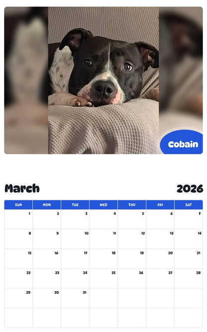 November 2025 - October 2026 Cobain - Pawidols Pet Calendar