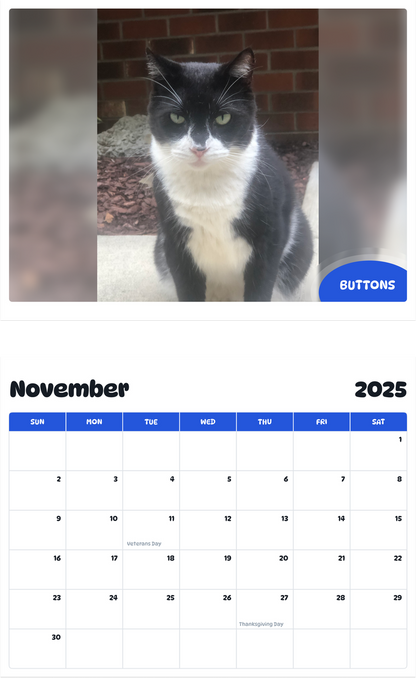 July 2025 - June 2026 Buttons - Pawidols Pet Calendar