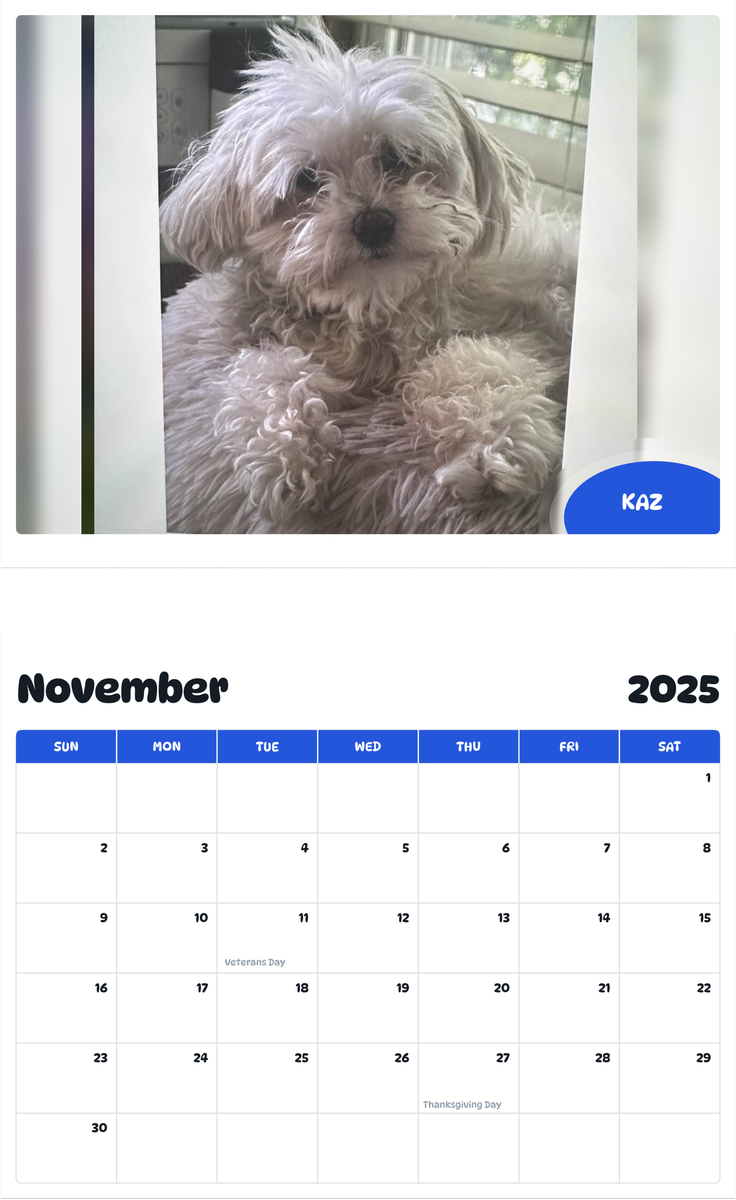 July 2025 - June 2026 Kaz - Pawidols Pet Calendar