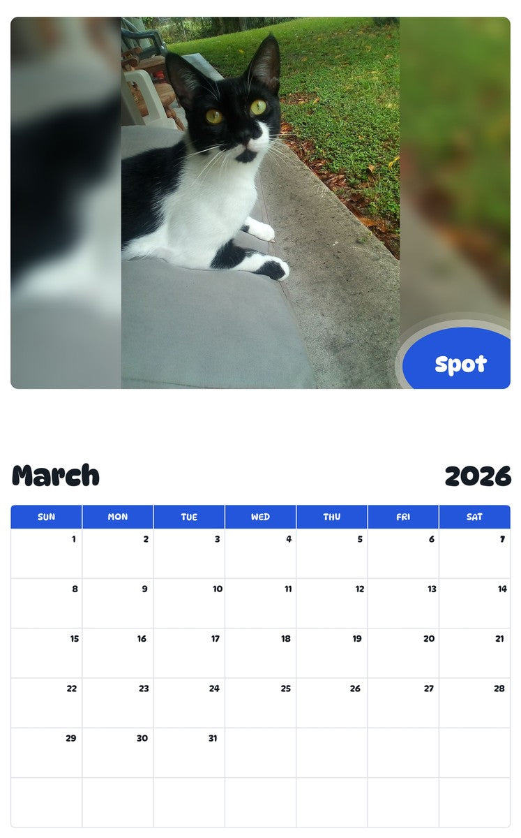 November 2025 - October 2026 Spot - Pawidols Pet Calendar