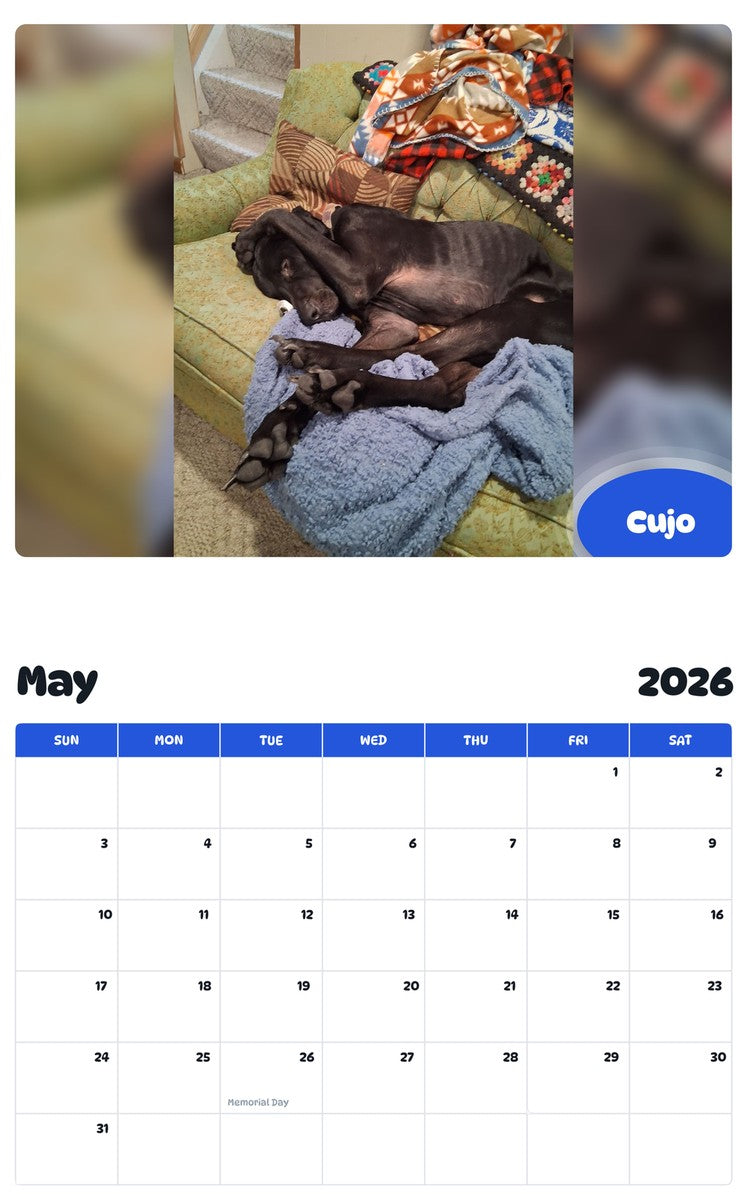 2026 - 2027 Cujo - Pawidols Pet Calendar