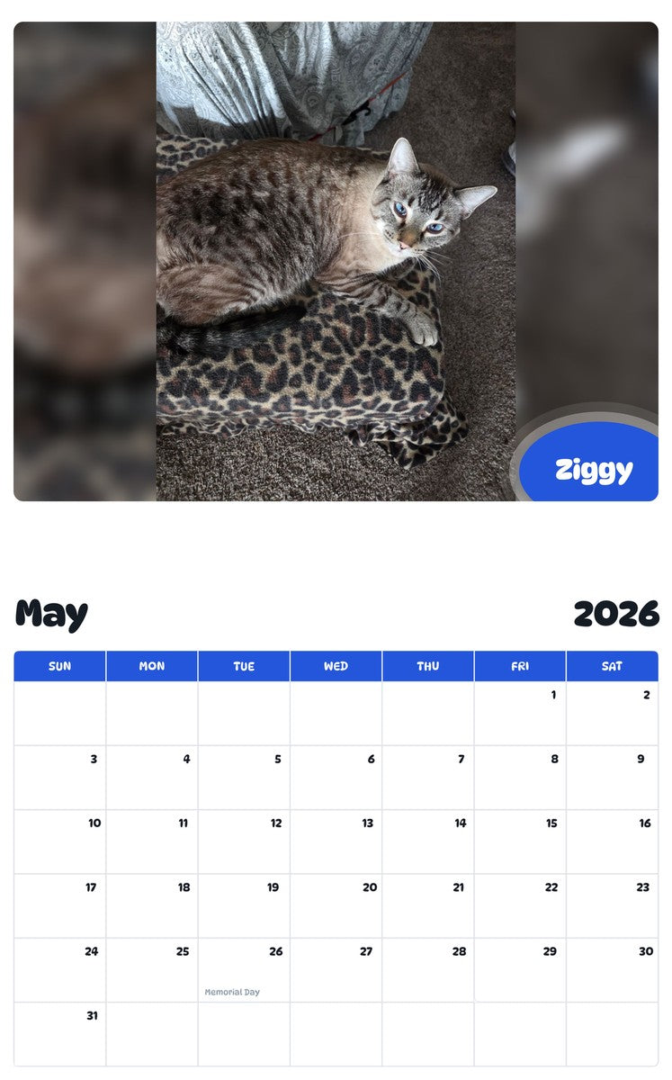 2026 - 2027 Ziggy - Pawidols Pet Calendar