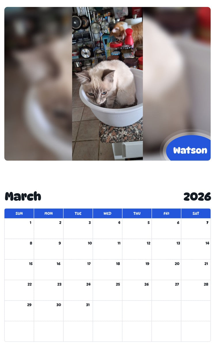November 2025 - October 2026 Watson - Pawidols Pet Calendar