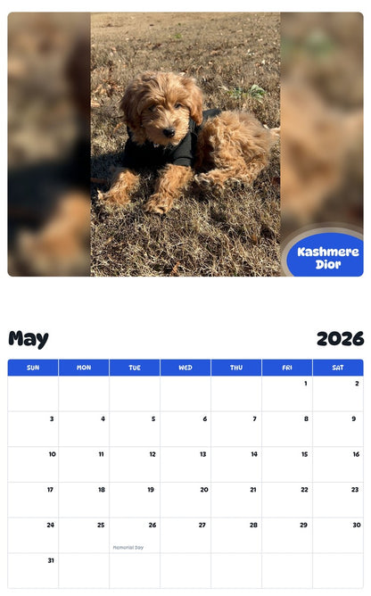 2026 - 2027 Kashmere Dior - Pawidols Pet Calendar