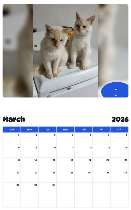 November 2025 - October 2026 . . - Pawidols Pet Calendar