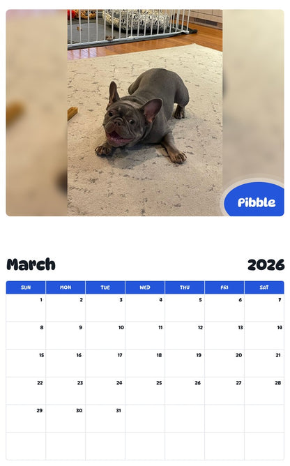November 2025 - October 2026 Pibble - Pawidols Pet Calendar