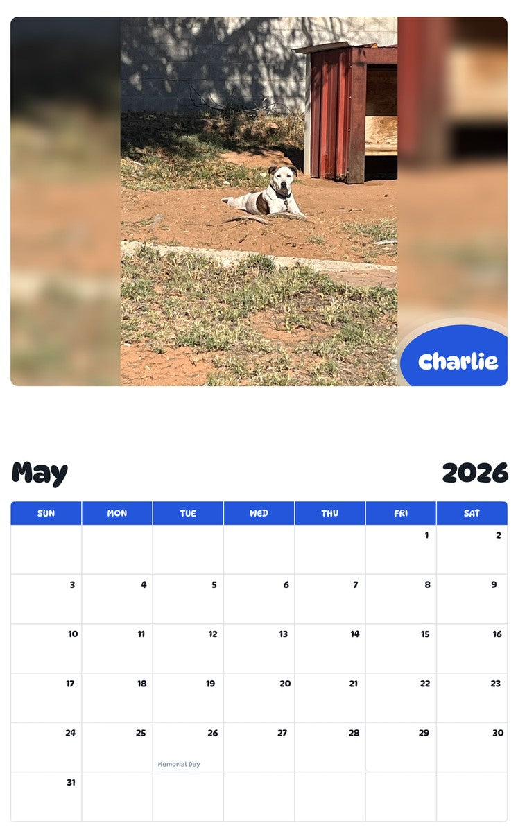 2026 - 2027 Charlie - Pawidols Pet Calendar