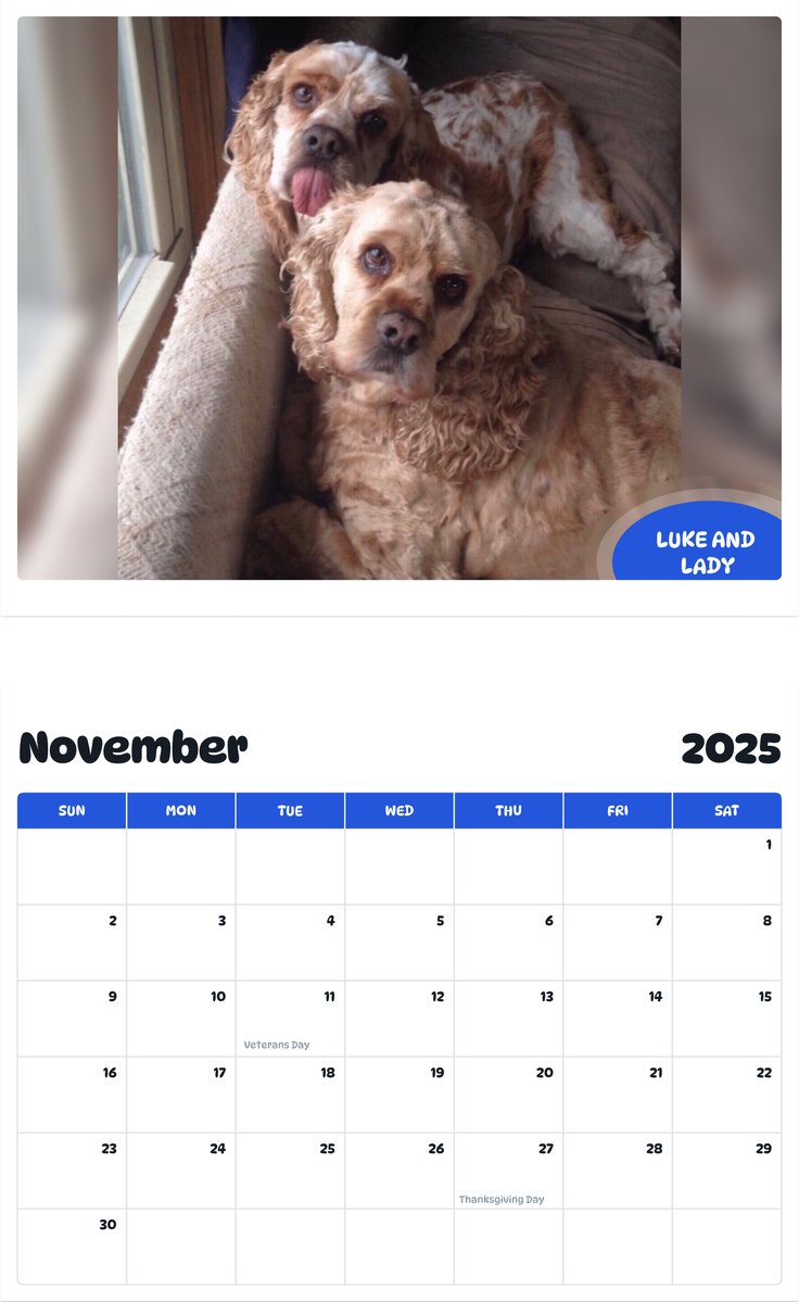 July 2025 - June 2026 Luke and Lady - Pawidols Pet Calendar