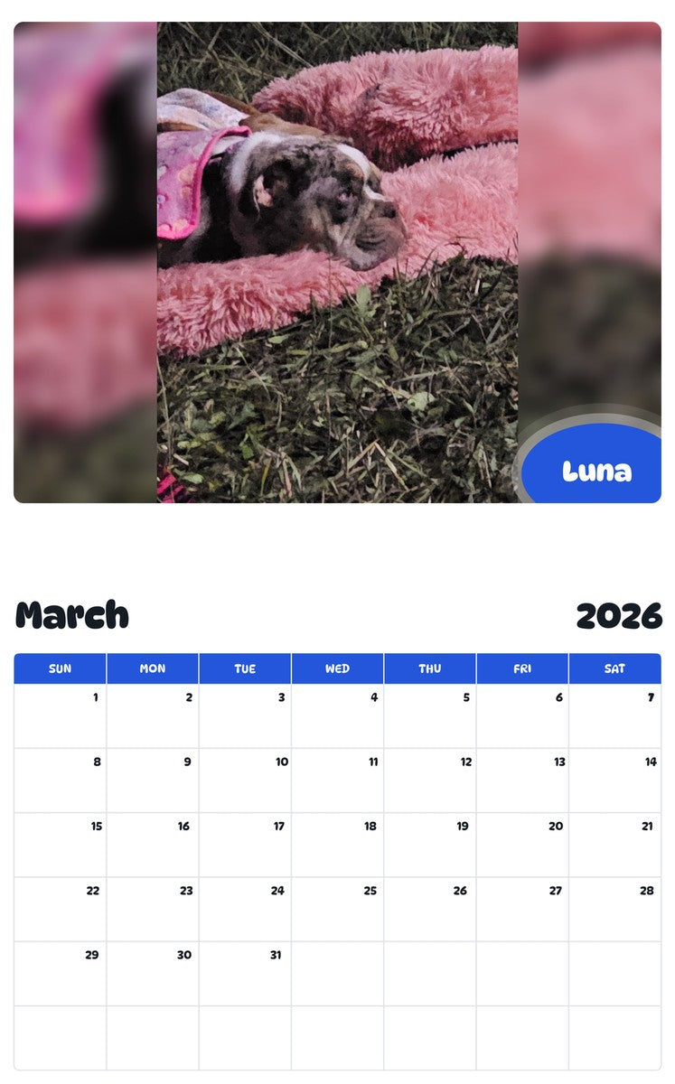 November 2025 - October 2026 Luna - Pawidols Pet Calendar