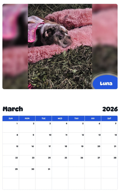 November 2025 - October 2026 Luna - Pawidols Pet Calendar