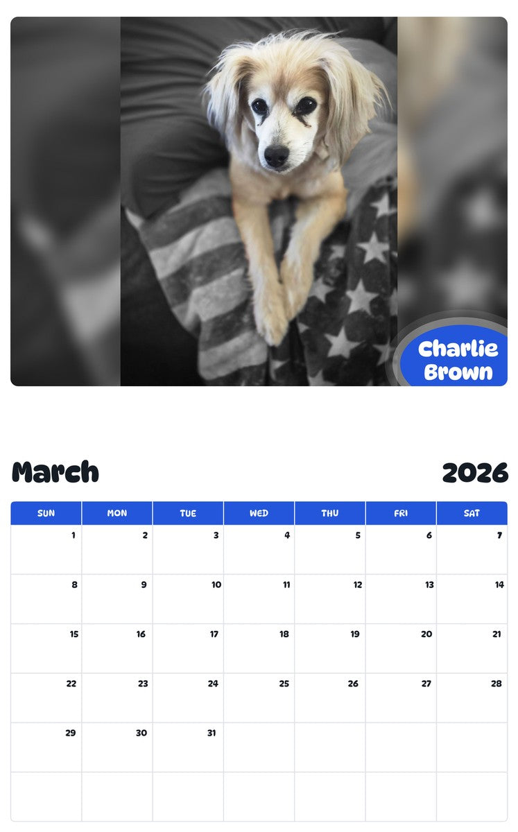 November 2025 - October 2026 Charlie Brown - Pawidols Pet Calendar