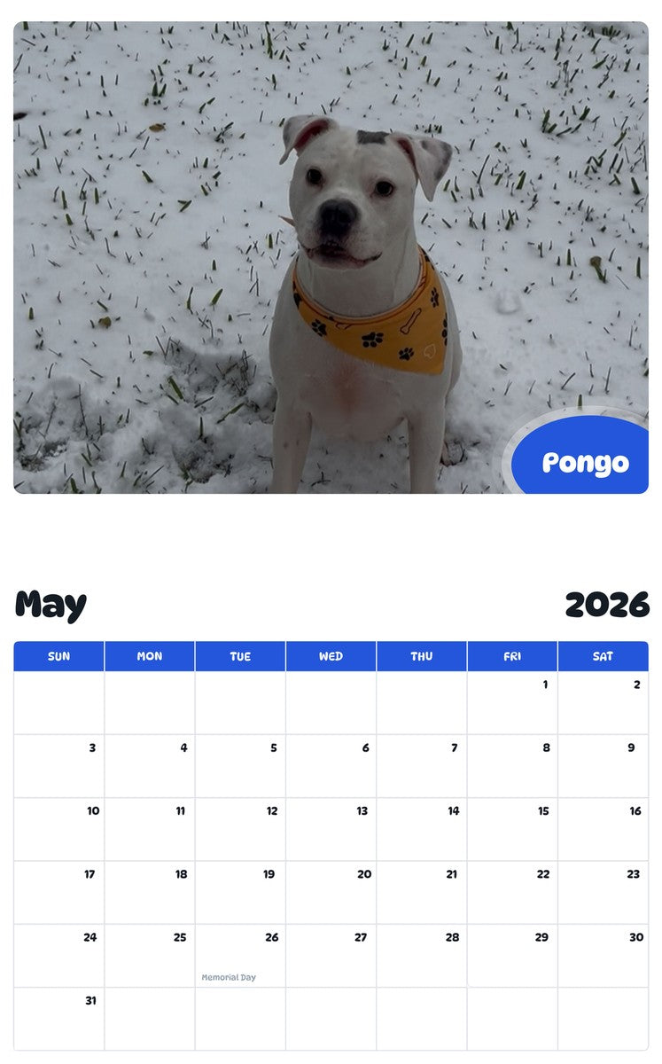 2026 - 2027 Pongo - Pawidols Pet Calendar