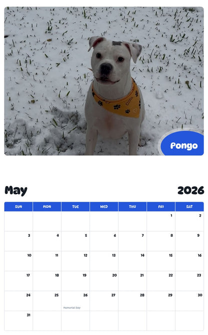 2026 - 2027 Pongo - Pawidols Pet Calendar
