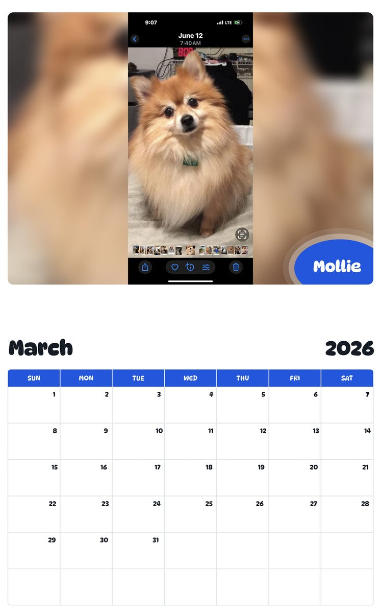 November 2025 - October 2026 Mollie - Pawidols Pet Calendar