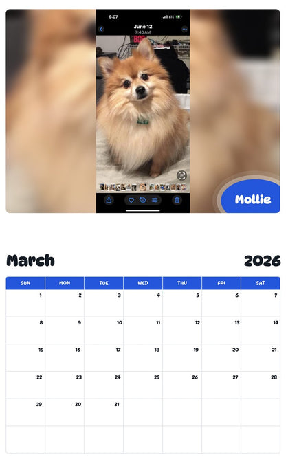 November 2025 - October 2026 Mollie - Pawidols Pet Calendar