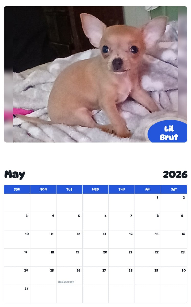 2026 - 2027 Lil Brut - Pawidols Pet Calendar