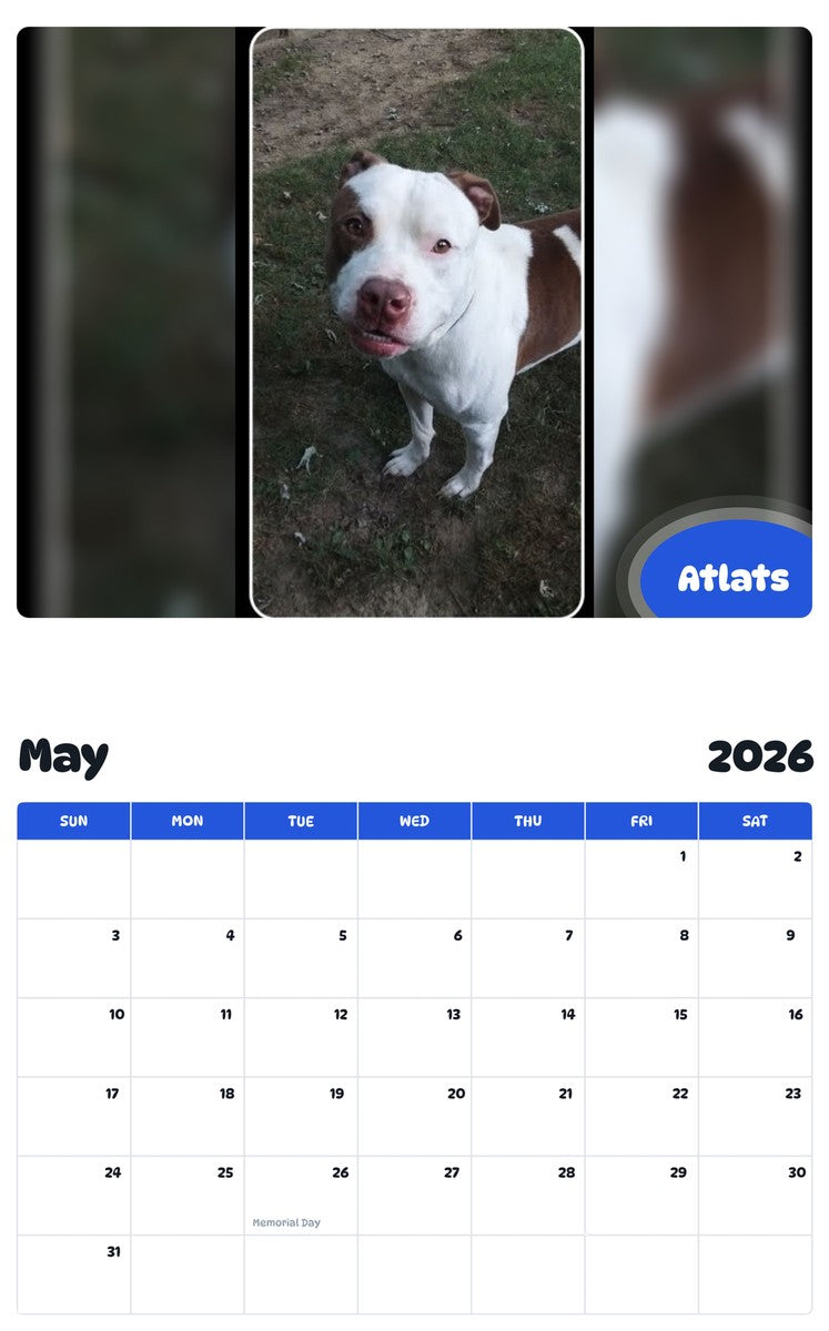 2026 - 2027 Atlats - Pawidols Pet Calendar