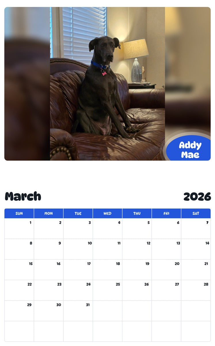 November 2025 - October 2026 Addy Mae - Pawidols Pet Calendar