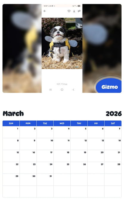 November 2025 - October 2026 Gizmo - Pawidols Pet Calendar