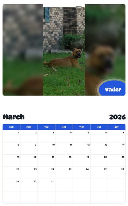 November 2025 - October 2026 Vader - Pawidols Pet Calendar
