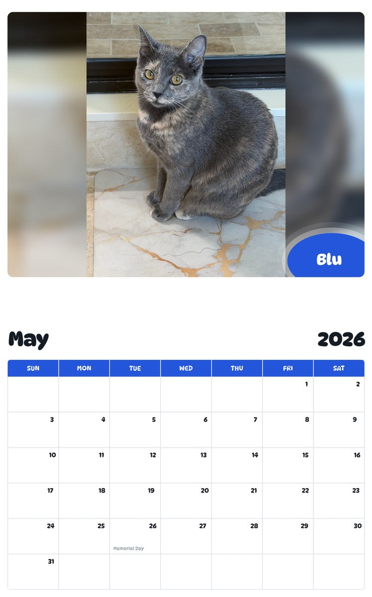 2026 - 2027 Blu - Pawidols Pet Calendar
