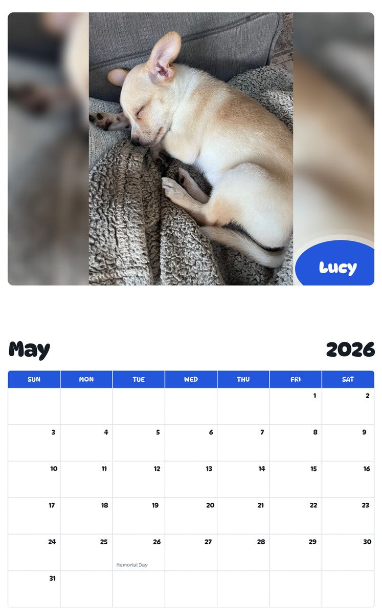 2026 - 2027 Lucy - Pawidols Pet Calendar