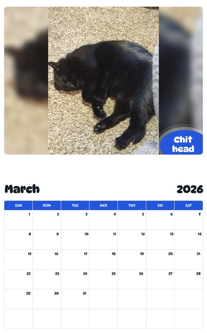 November 2025 - October 2026 Chit head - Pawidols Pet Calendar