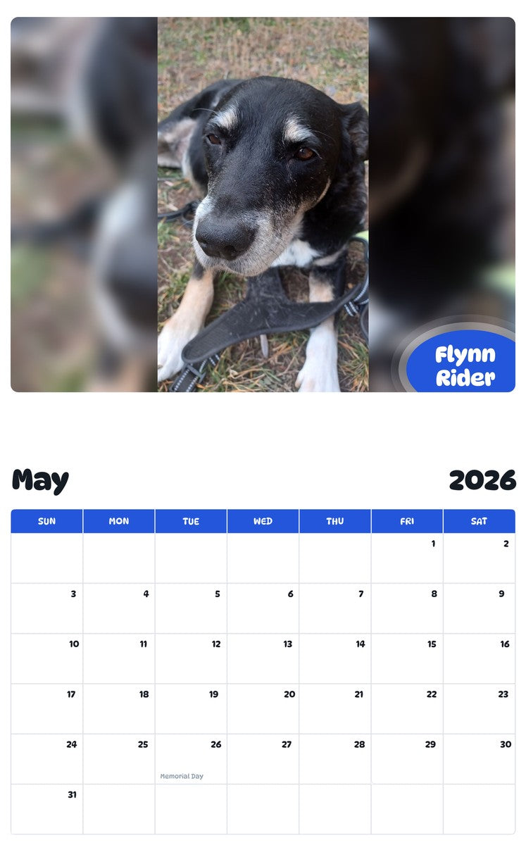 2026 - 2027 Flynn Rider - Pawidols Pet Calendar