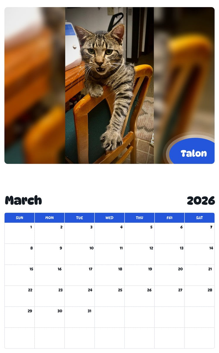 November 2025 - October 2026 Talon - Pawidols Pet Calendar