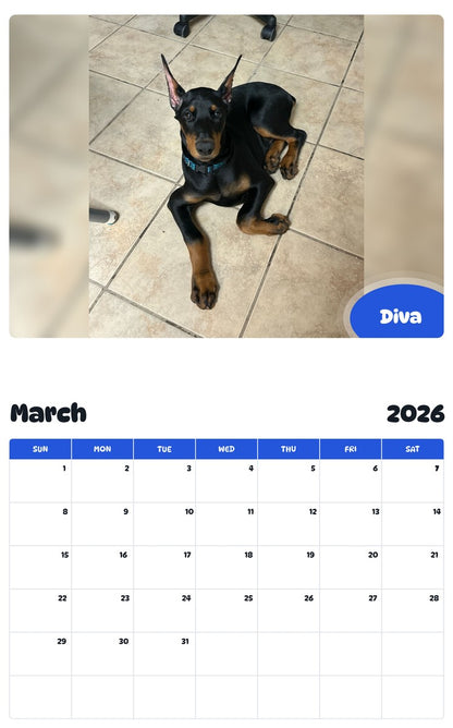 November 2025 - October 2026 Diva - Pawidols Pet Calendar