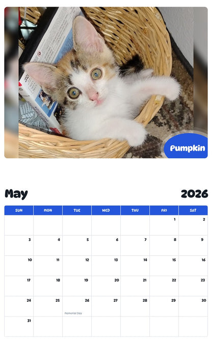 2026 - 2027 Pumpkin - Pawidols Pet Calendar