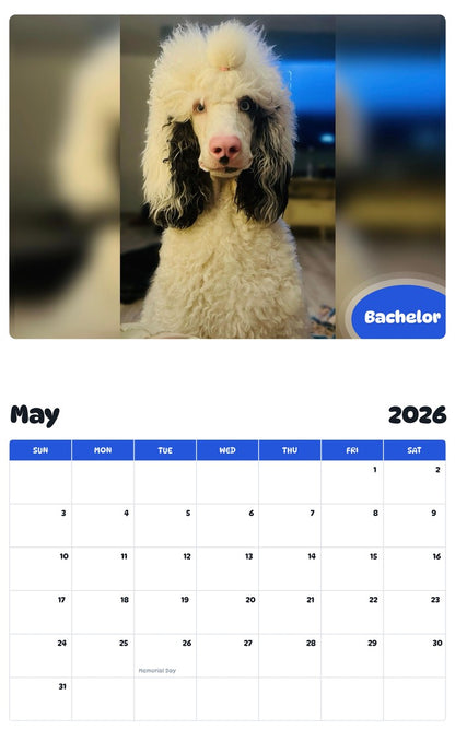 2026 - 2027 Bachelor - Pawidols Pet Calendar