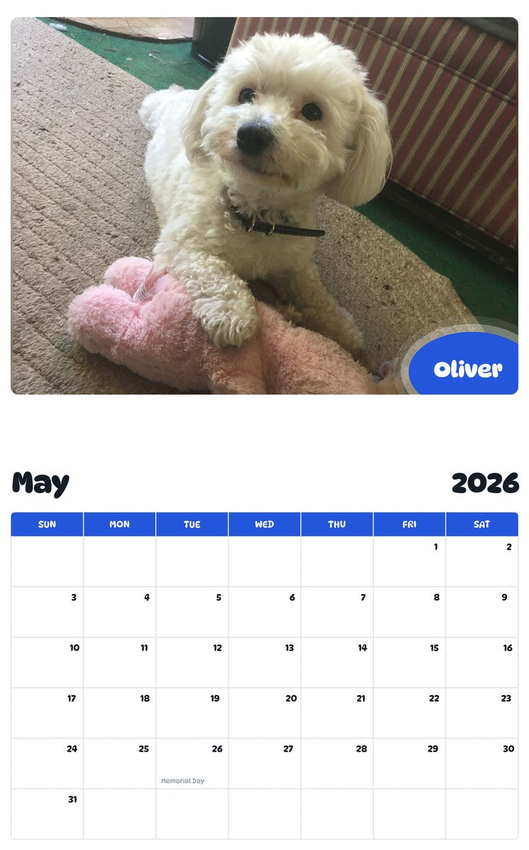 2026 - 2027 Oliver - Pawidols Pet Calendar