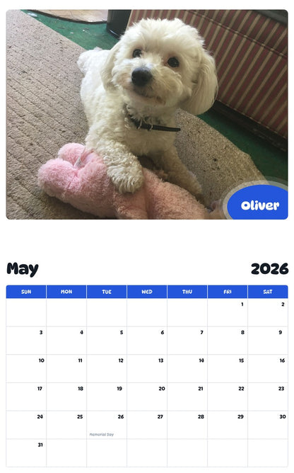 2026 - 2027 Oliver - Pawidols Pet Calendar