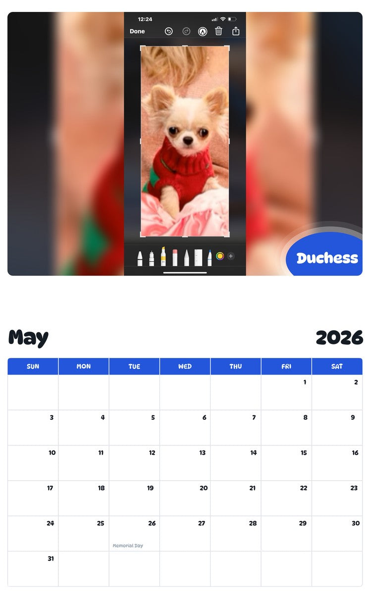 2026 - 2027 Duchess - Pawidols Pet Calendar
