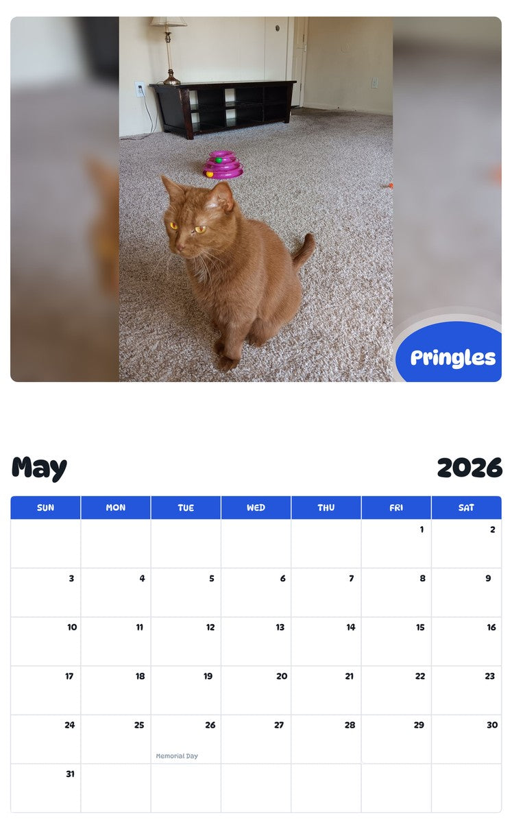 2026 - 2027 Pringles - Pawidols Pet Calendar