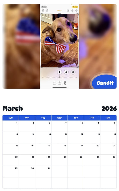 November 2025 - October 2026 Bandit - Pawidols Pet Calendar