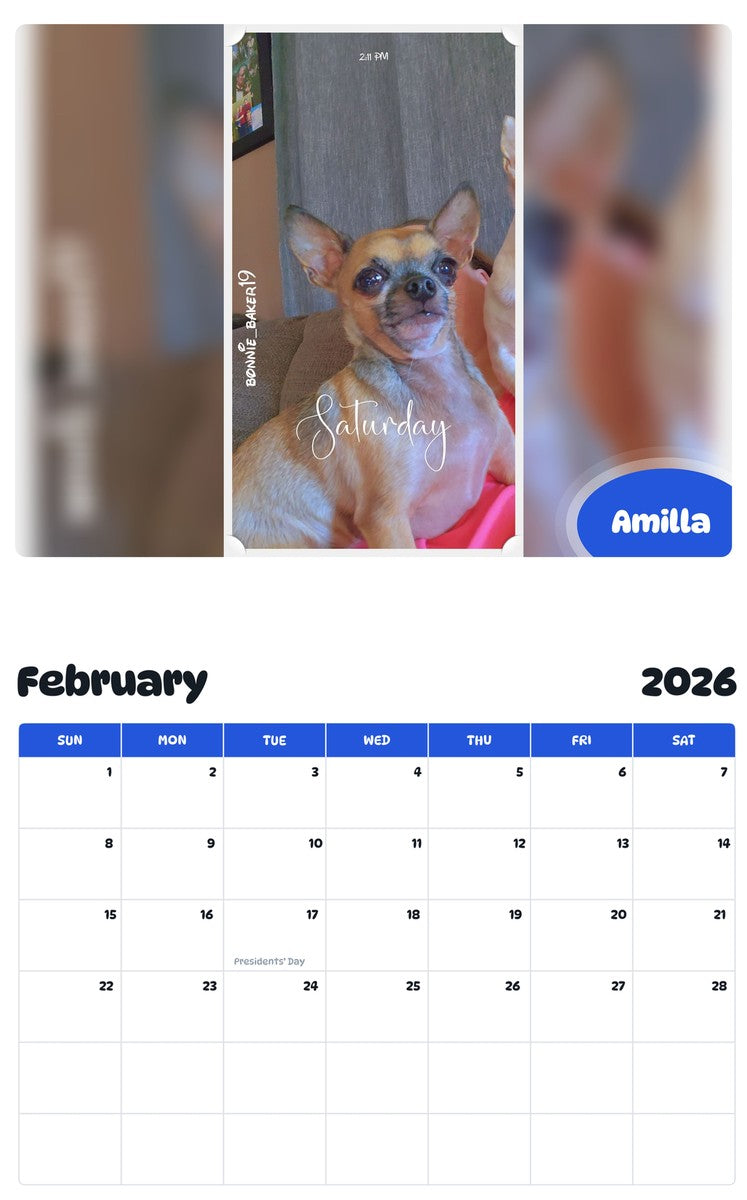 October 2025 - September 2026 Amilla - Pawidols Pet Calendar