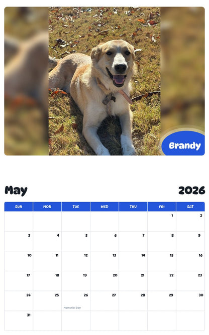 2026 - 2027 Brandy - Pawidols Pet Calendar