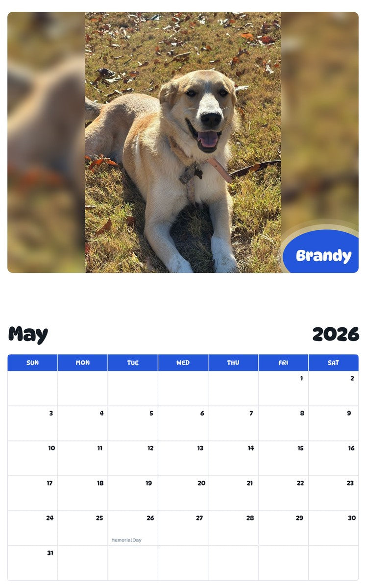 2026 - 2027 Brandy - Pawidols Pet Calendar