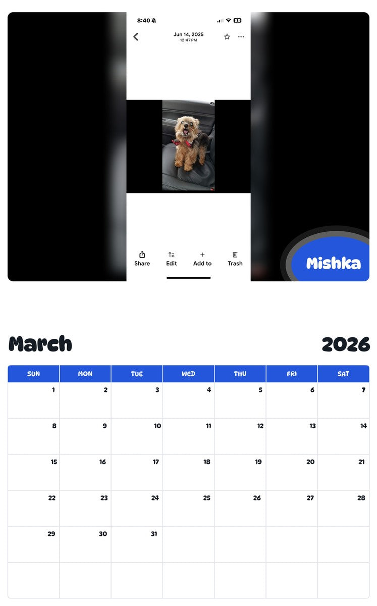November 2025 - October 2026 Mishka - Pawidols Pet Calendar