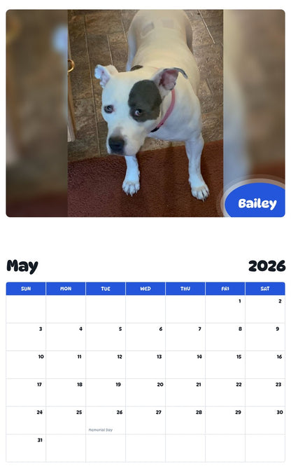 2026 - 2027 Bailey - Pawidols Pet Calendar