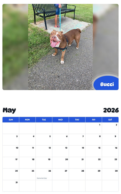 2026 - 2027 Bucci - Pawidols Pet Calendar