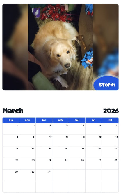 November 2025 - October 2026 Storm - Pawidols Pet Calendar