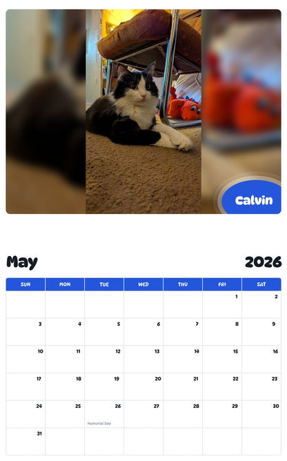 2026 - 2027 Calvin - Pawidols Pet Calendar