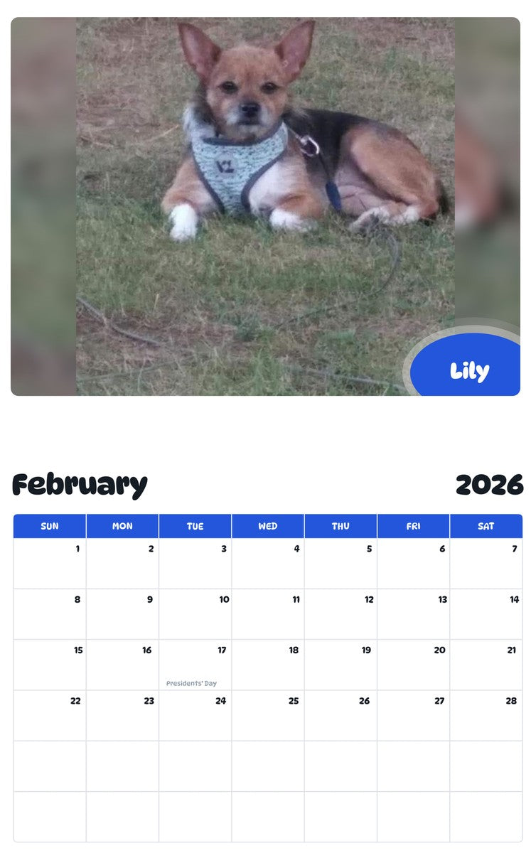 October 2025 - September 2026 Lily - Pawidols Pet Calendar