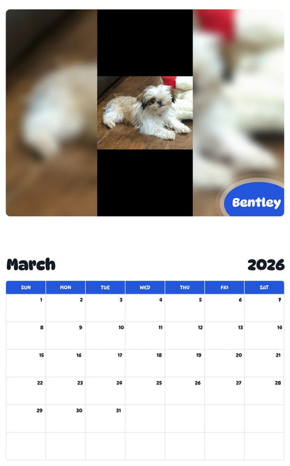 November 2025 - October 2026 Bentley - Pawidols Pet Calendar