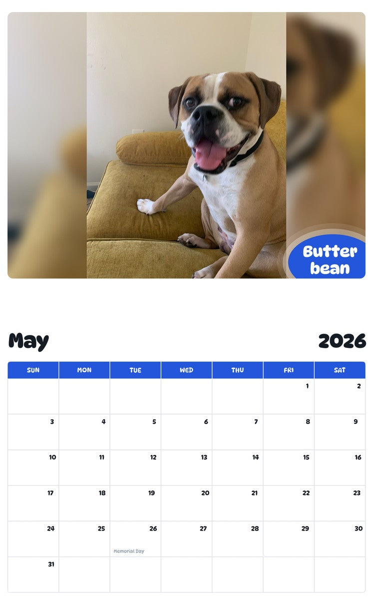 2026 - 2027 Butter bean - Pawidols Pet Calendar